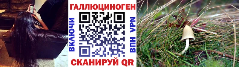 Псилоцибиновые грибы GOLDEN TEACHER  Нытва 